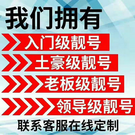 成武158手机号